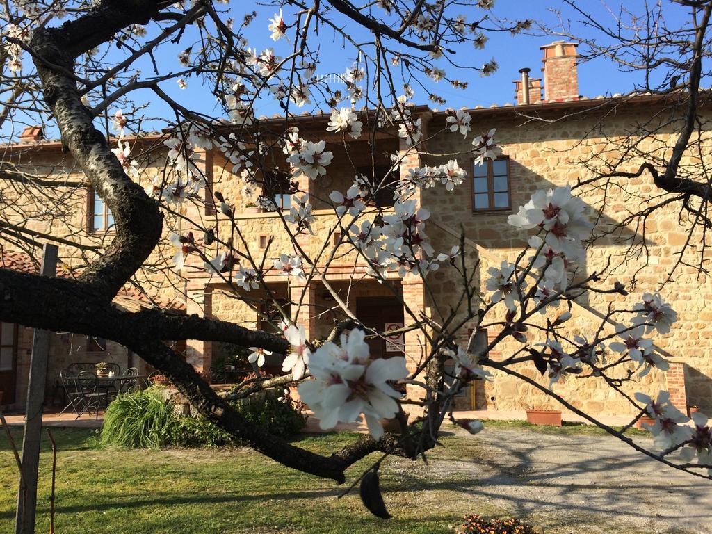 פיינצה Agriturismo Podere San Gregorio מראה חיצוני תמונה