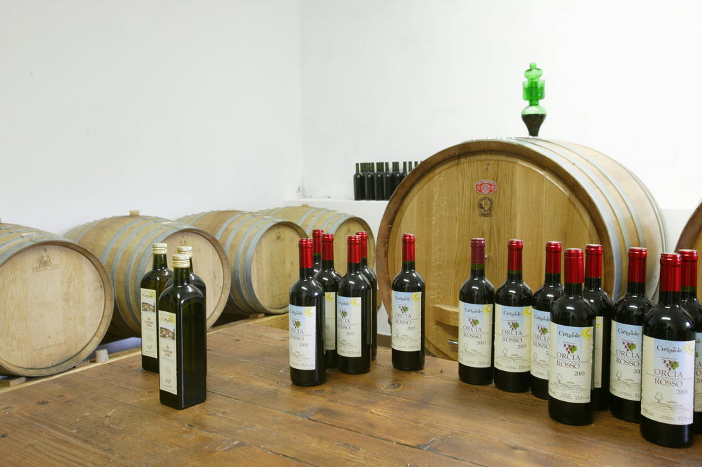 פיינצה Agriturismo Podere San Gregorio מראה חיצוני תמונה